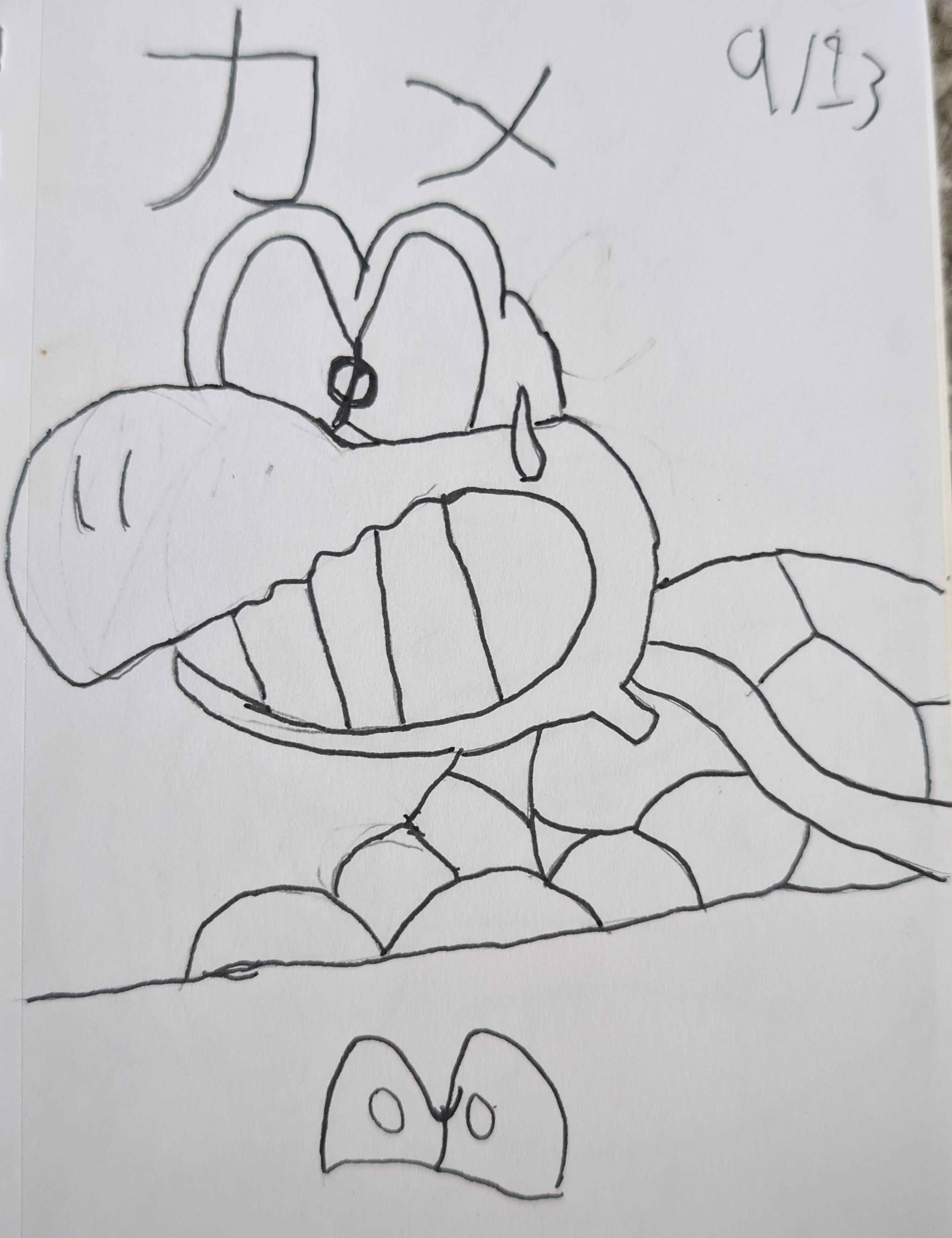 Koopa