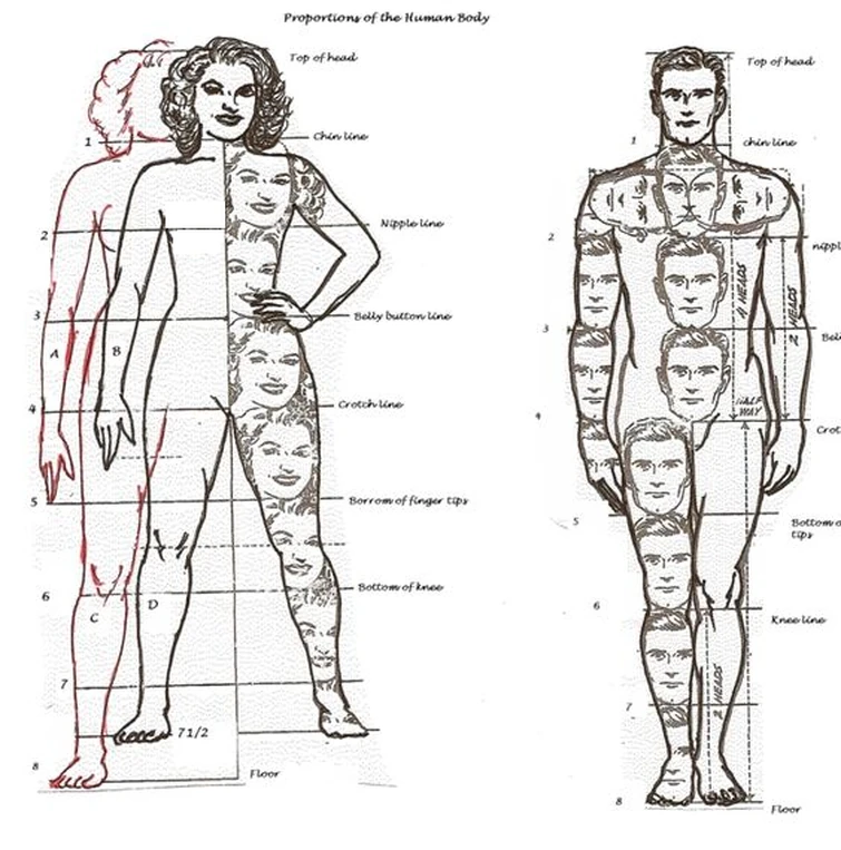 Head size chart 3